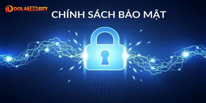 Chính sách bảo mật của Dola789