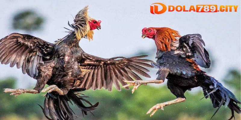 Trải nghiệm dịch vụ an toàn
