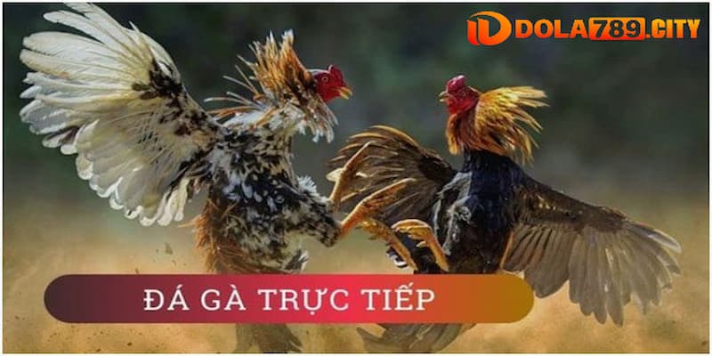 Nắm rõ thể thức cửa cược