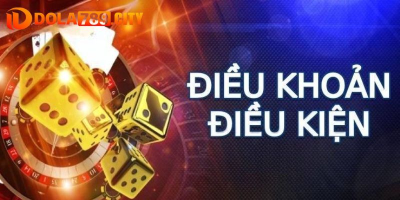 Giới thiệu các nội dung điều khoản và điều kiện cơ bản