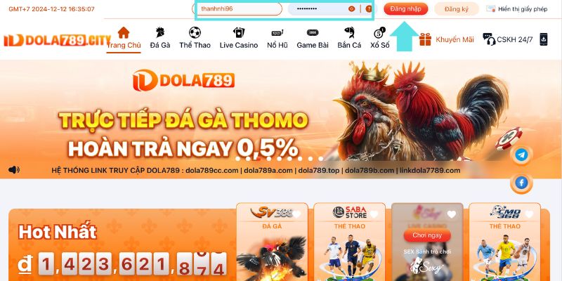 Hướng dẫn cách thức đăng nhập Dola789 nhanh chóng